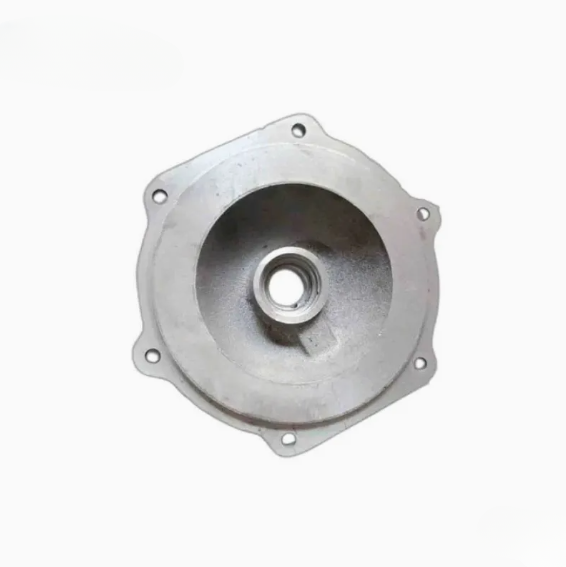 Custom cast iron end cover 02